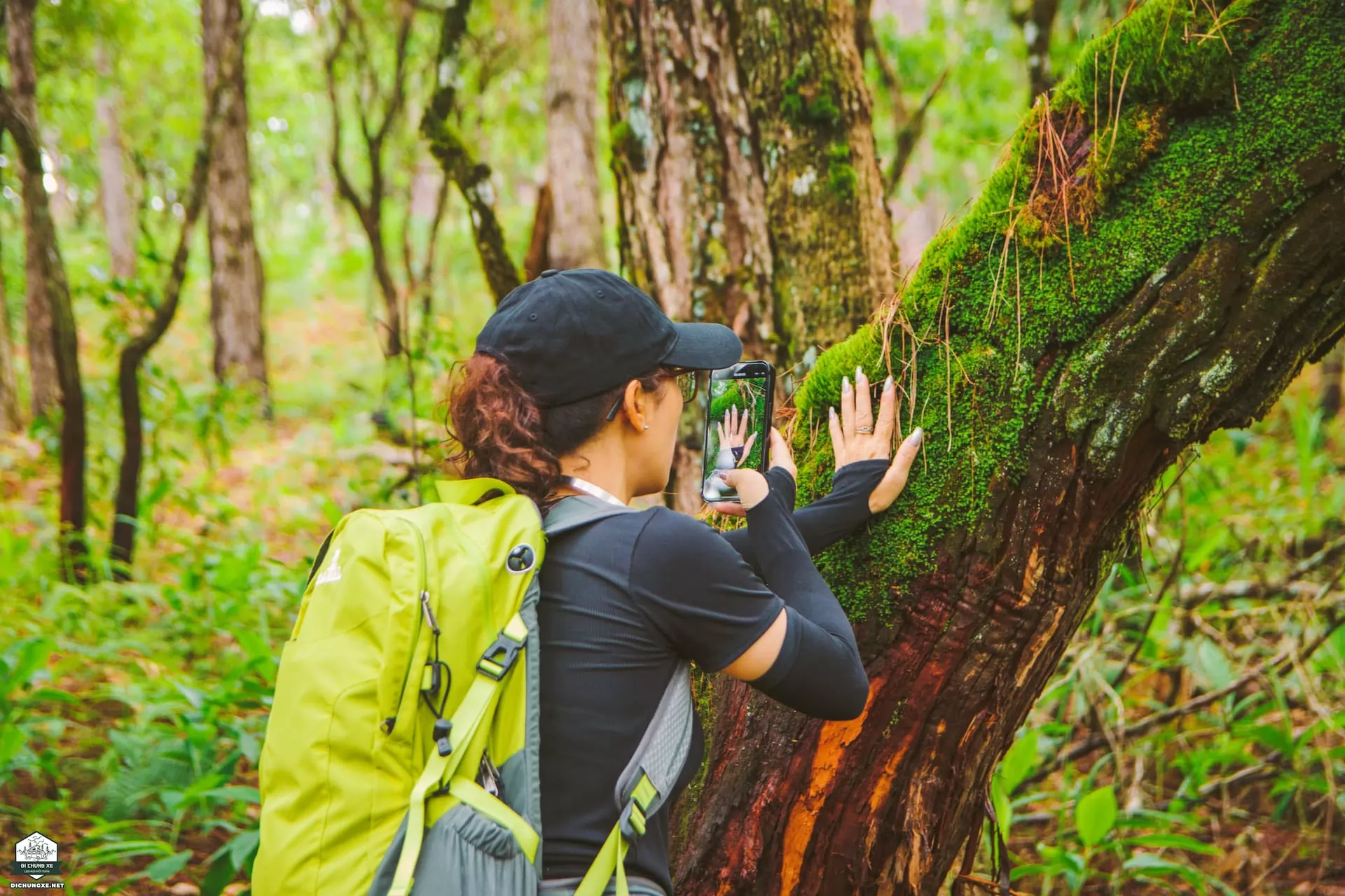Laan 02 - Lomburr - con đường cổ đại